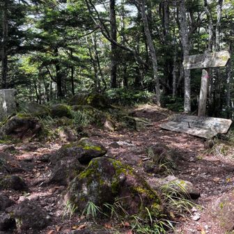 牛首山に到着🐮
扇山から急登が始まるので、ここで少し休憩