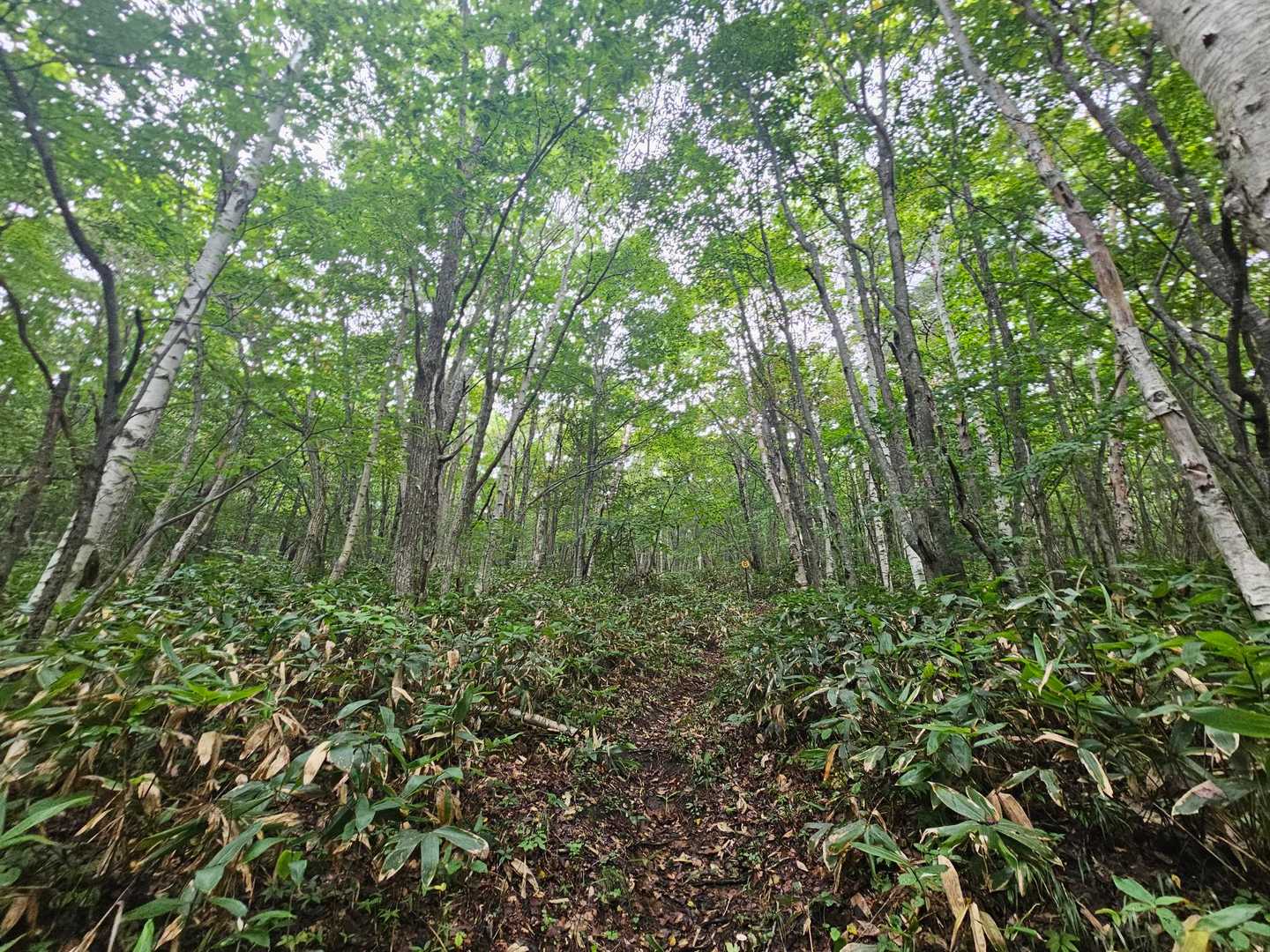 兜明神獄 往復コースの写真