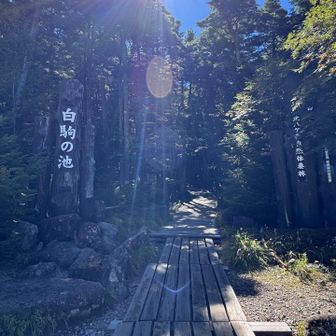 いい天気☀️