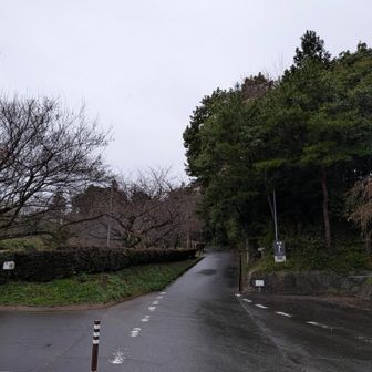 ここから登ります