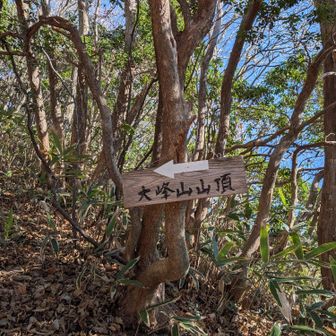 大峯山？大峰山？
どっちが正しいのか？？