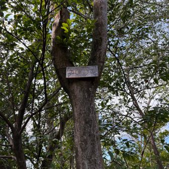 鹿山
裏大文字の鹿さん熊さんファミリーピークは2度ほど来たので急遽久しぶりに天の原に行きたくてルート取りに思案した結果、、、