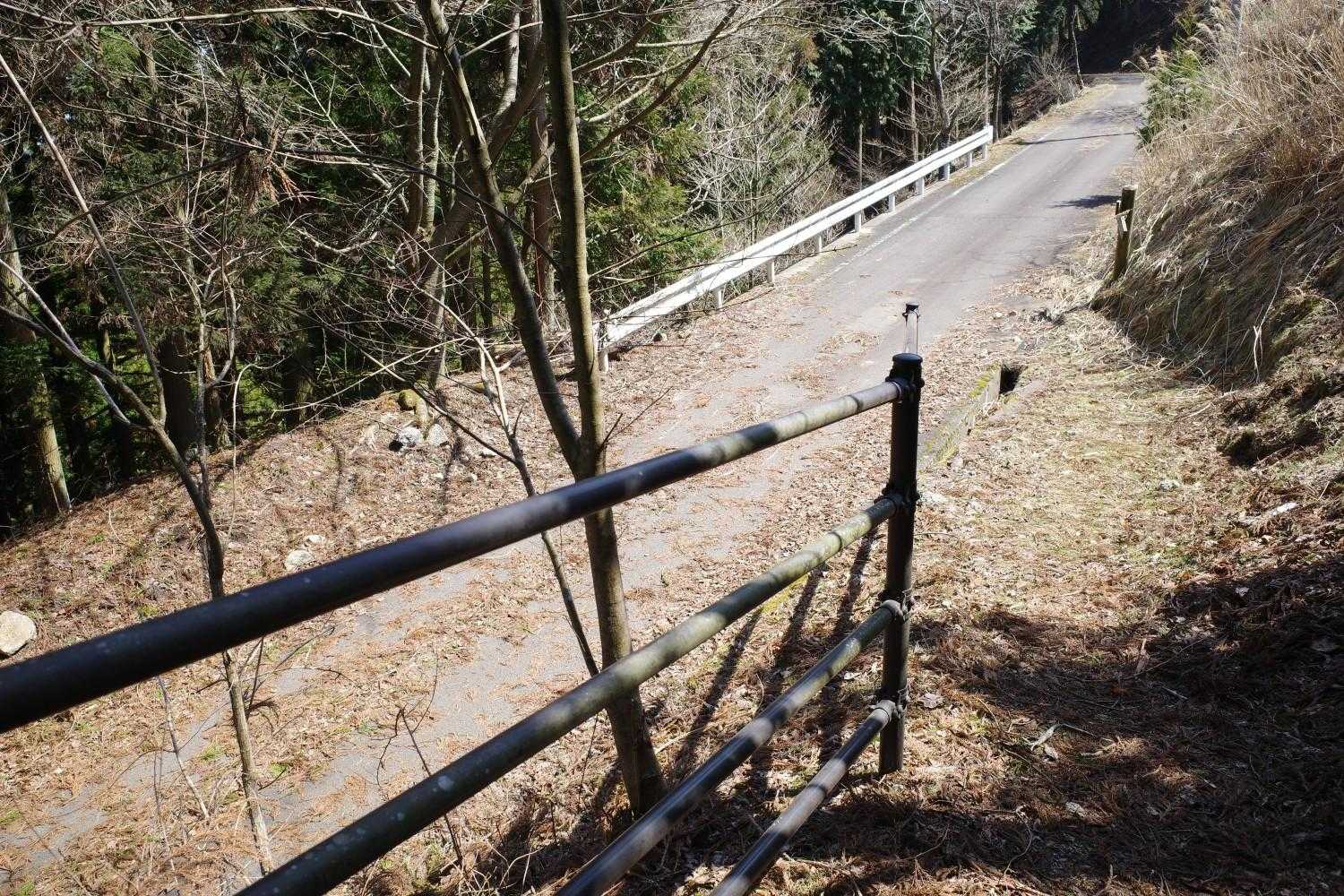 車道へ