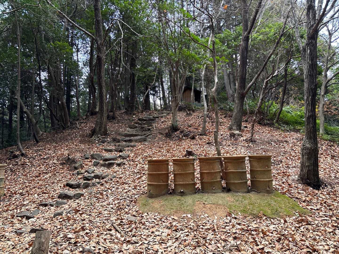 古墳の上に行きます！