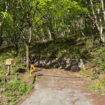 登山口