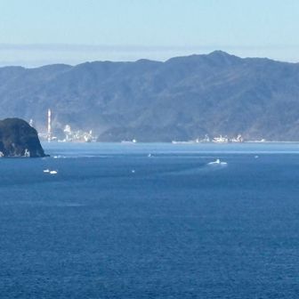 高速船が津久見に向かって帰ってます