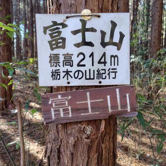 コインが挟まってます
わかるかな?