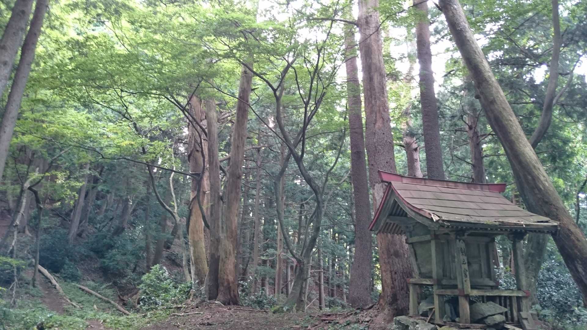 ちょっと登りきった…💦