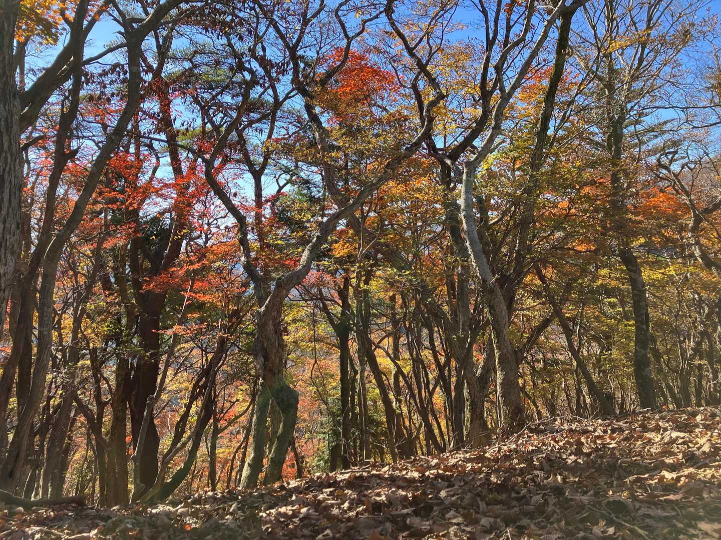ずっと居たくなる