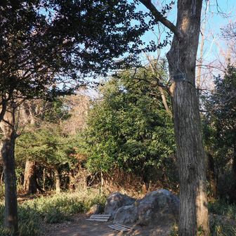 金鳥山山頂⛰️