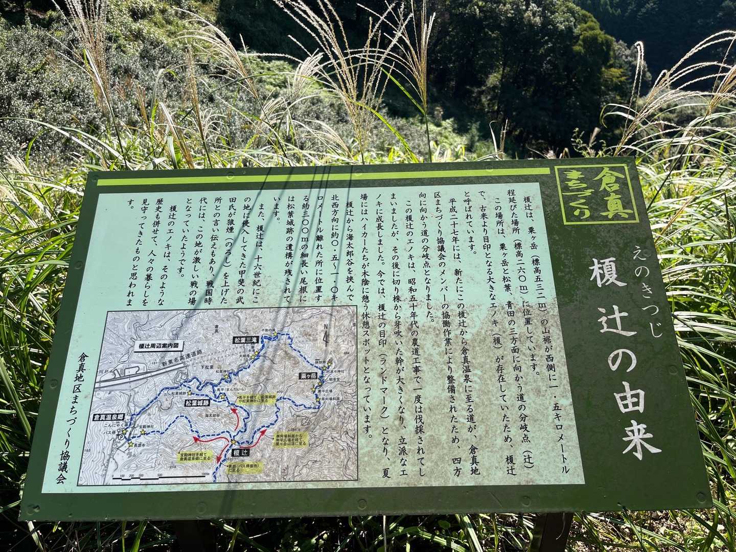 古来より分岐点の目印としてあった🌲だそうです🧐