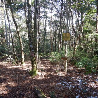 タワラギ山山頂