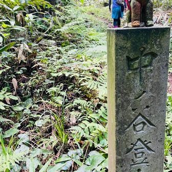 急登をご要望のちゃげりんに応えまして、中ノ谷コースへ。🚶🏻‍♀️🚶
