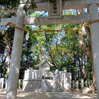 枚岡神社⛩️奥社
安心安全登山を祈願🙏
