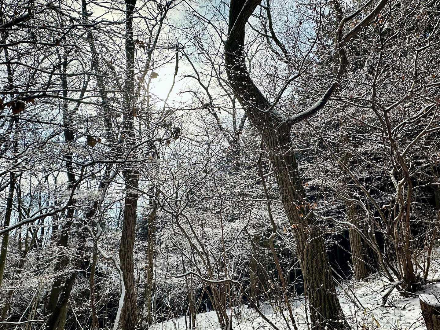 雪の後って感じでいいな