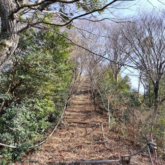 周南山から1時間弱で城山へ
山頂まで最後の坂道を上がる💪