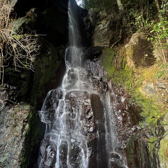 尾鈴山は冬も水が豊富✨