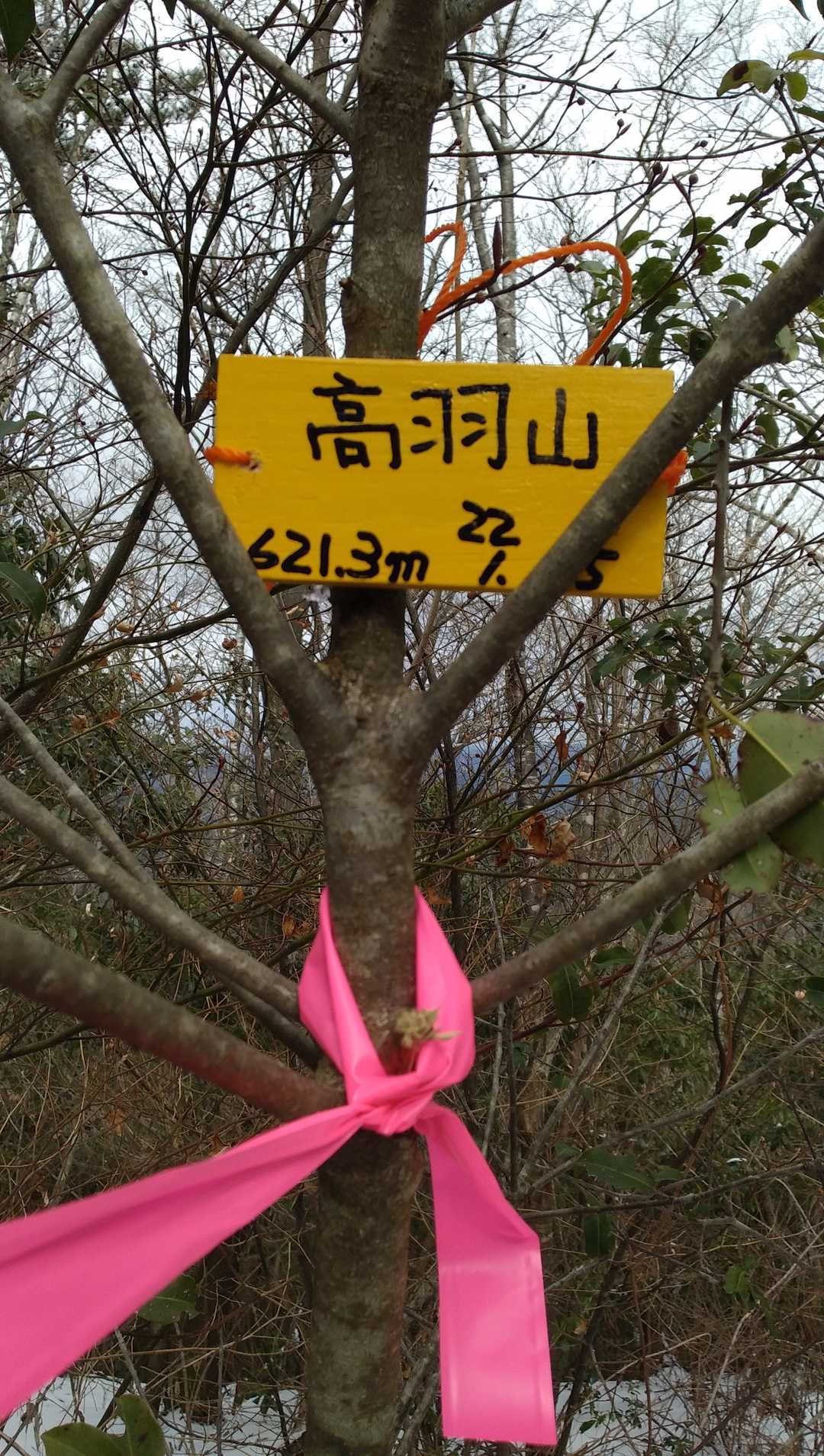山頂表示有り難う御座います。