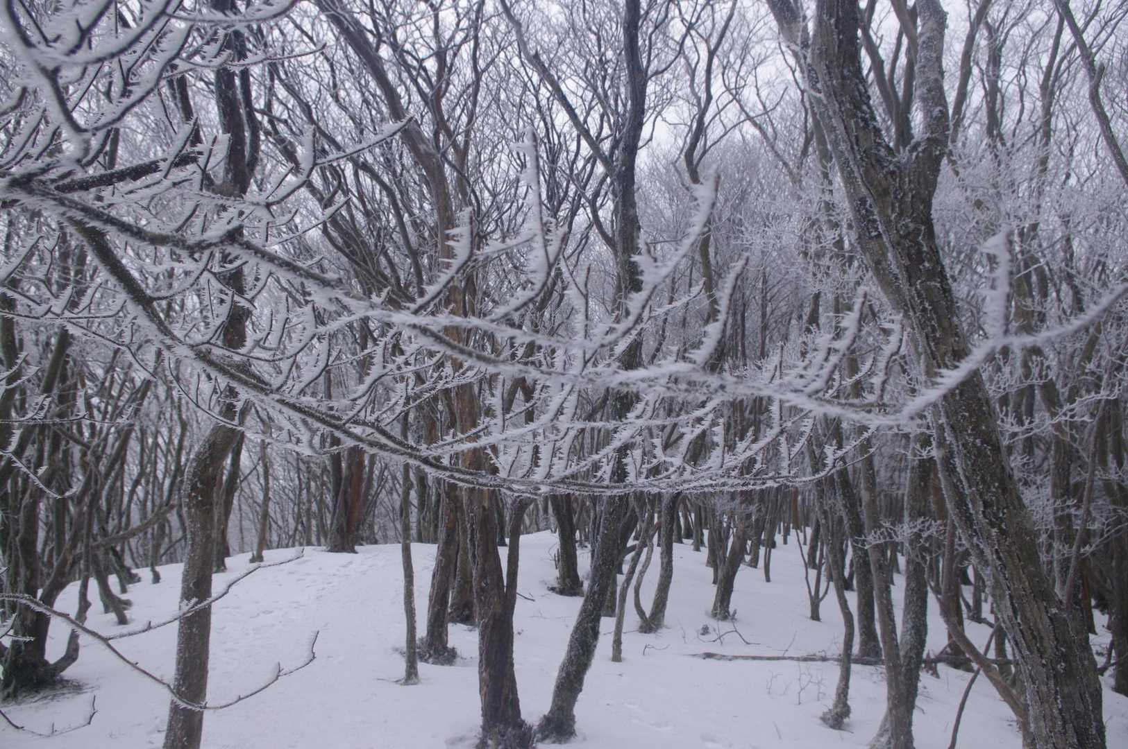 同じような景色
