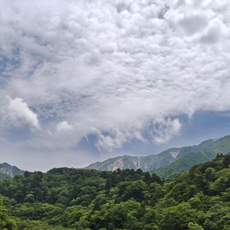 いつもありがとうございます🙏

