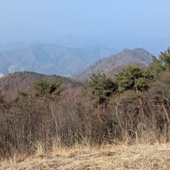 虚空蔵山です
私は兎岩から虚空蔵山、鳥小屋山周回コースが好きですね👍️