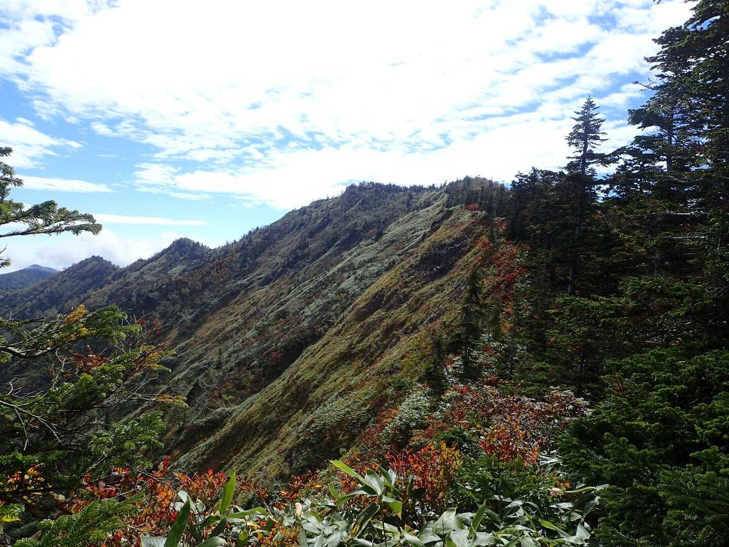 佐武流山の写真