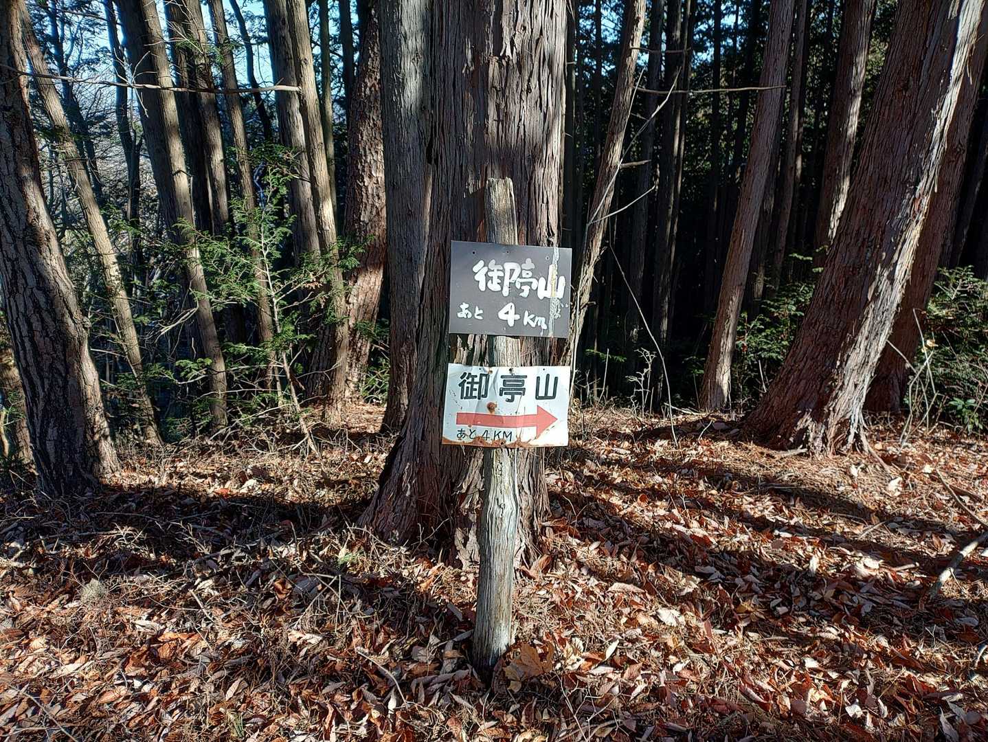 直す✨
御亭山パトロール🫡✨