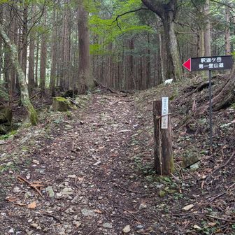 釈迦ヶ岳第一登山道とあります。檜峰神社からのルート三つのうち１つです。まずは大栃山へ向かうためここからスタート。