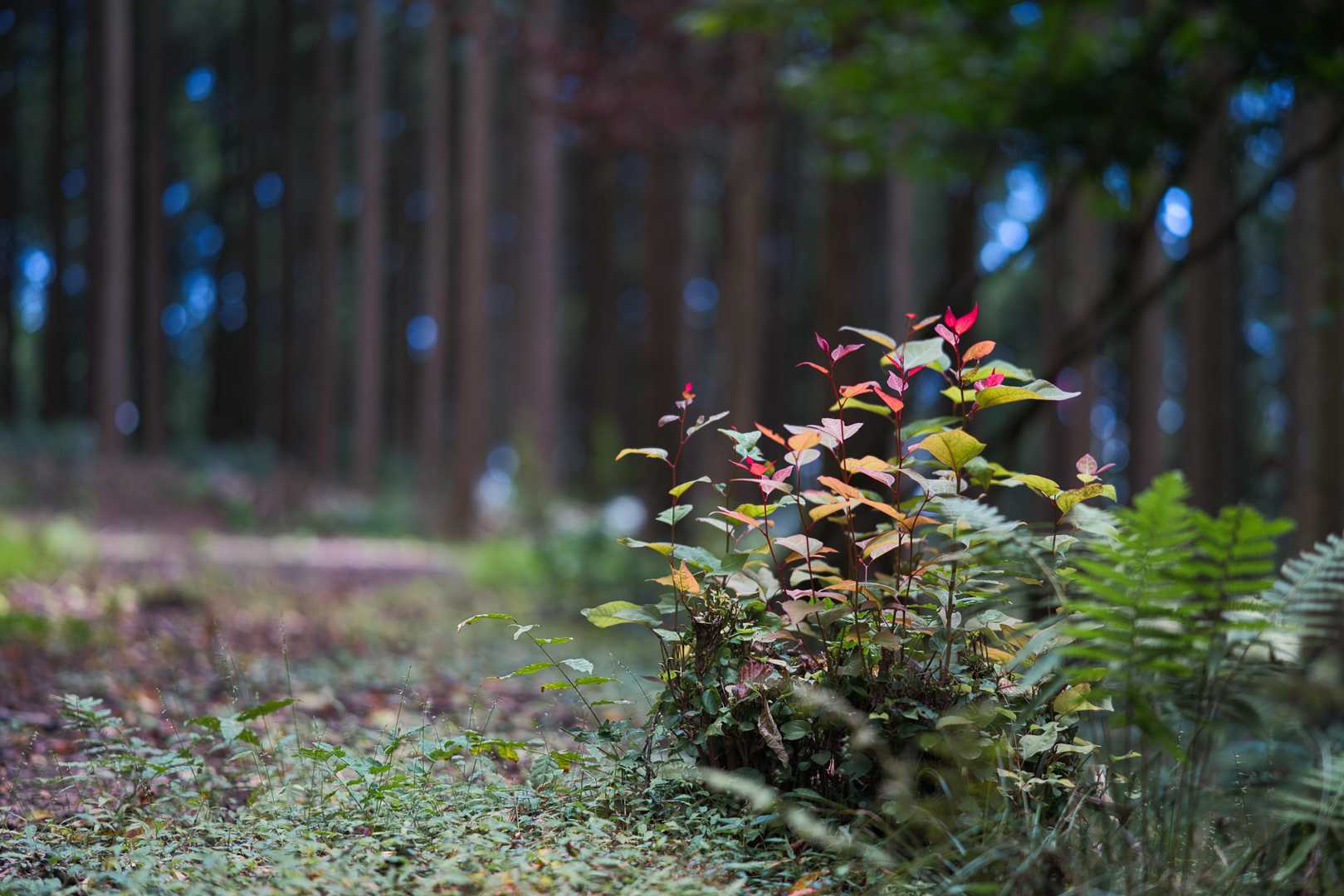 陽の光が当たっているとカラフルで、
いつもここを通る時に目が行きます📸