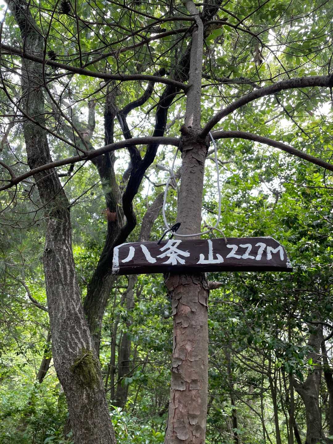 頂上