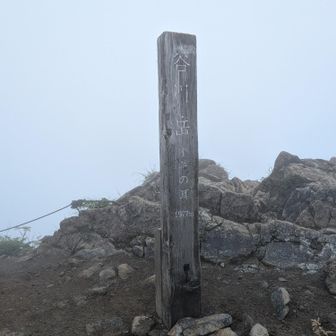 オキの耳に到着です✌全く景色は見えません