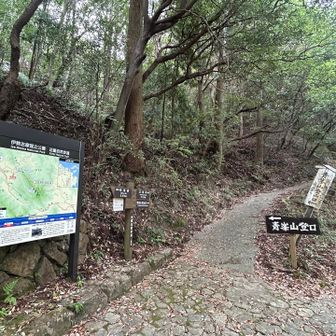 登山口　ここから登るのは初めて
NHKBSのにっぽん百低山で見てから登ってみたかったんです　あおのみねさん