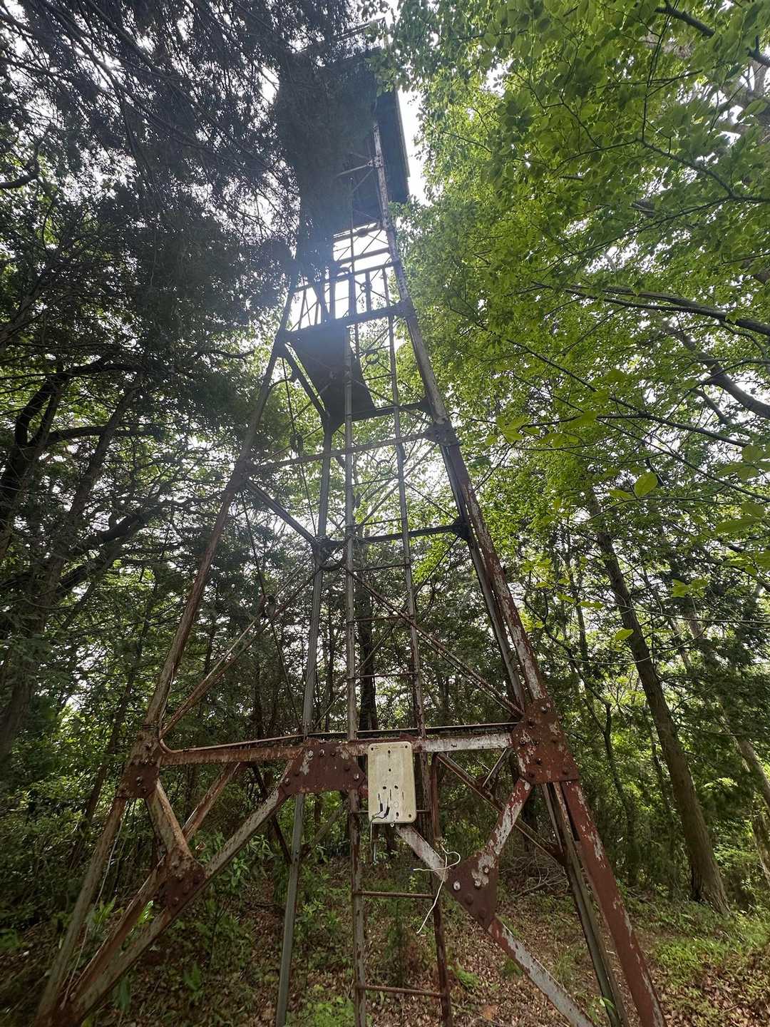 石尊山登山口-石尊山 往復コースの写真