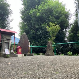 整備された登山道を登って行くとこのような山頂に到着。無事登頂です。