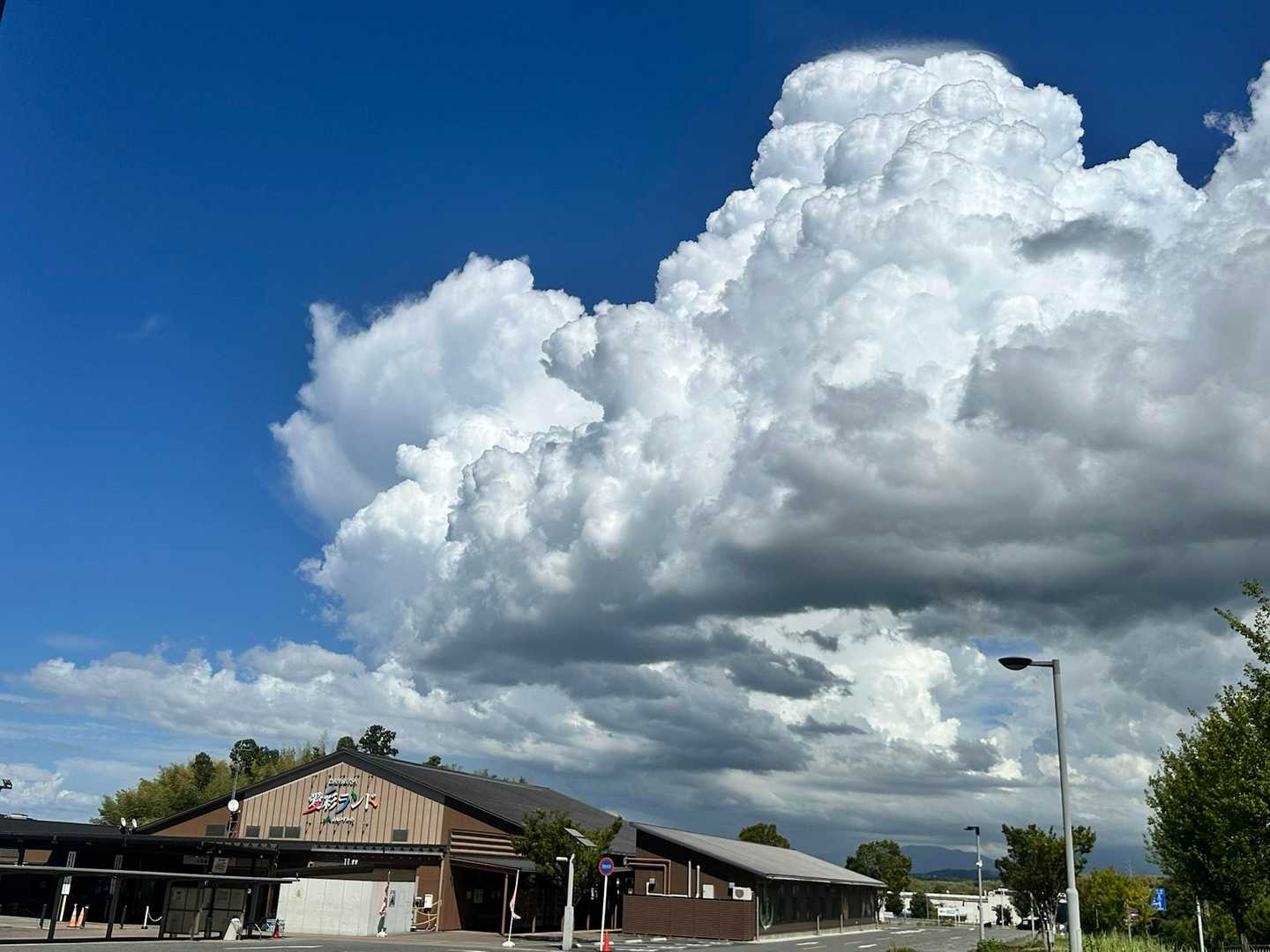 🅿️愛彩ランド（水曜日は定休日らしい）

青空に入道雲が夏の空って感じ