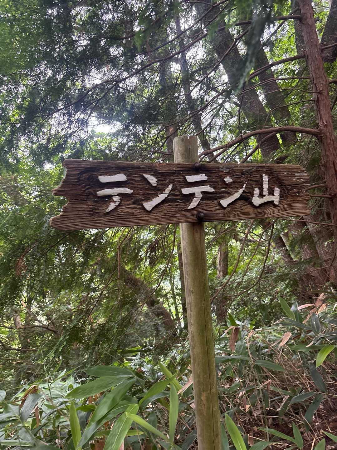 テンテン山⛰️ピークではありません😓