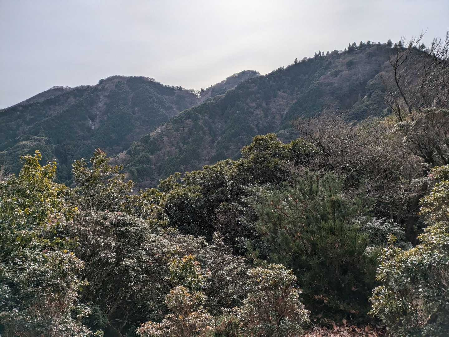 今から歩くお山たち