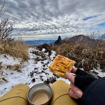 近ごろ定番のカフェオレ＋嫁が焼いてくれてたアップルパイでひと休み☕️至福