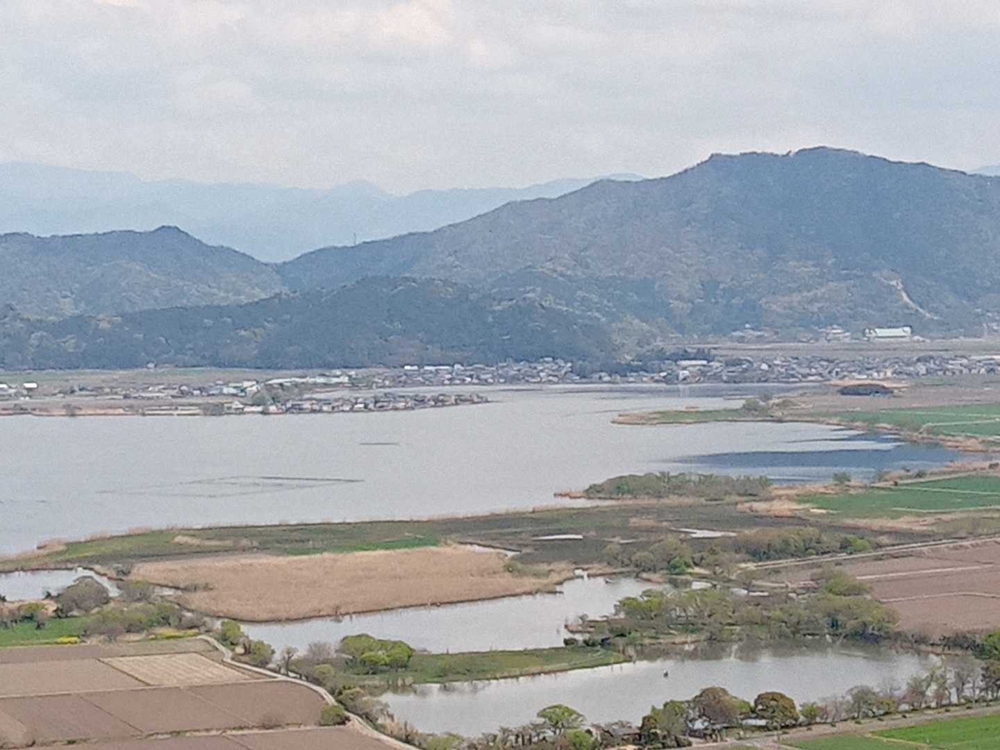 西の湖