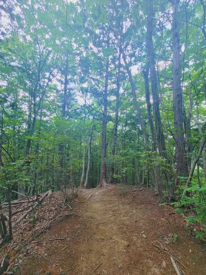 天狗山の写真