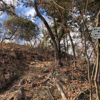 岩山頂（一番岩）と「猿岩」の分岐。