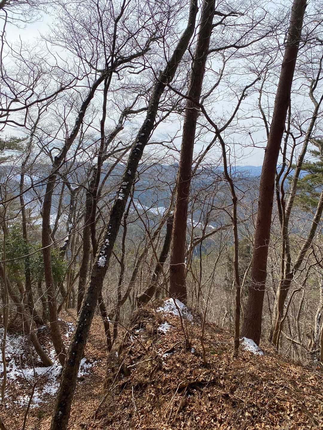 眺望も特にありません。
ここから、また、地獄の下山ルートです。
もときた道はとても降りる気になれません。