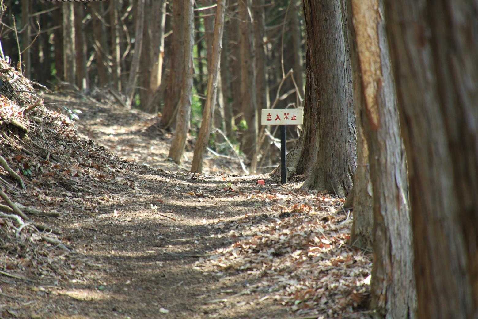 立入禁止　だけど良さげな道