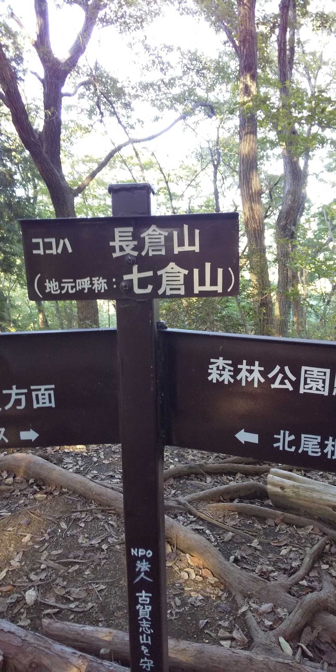  ここが長倉山‼️