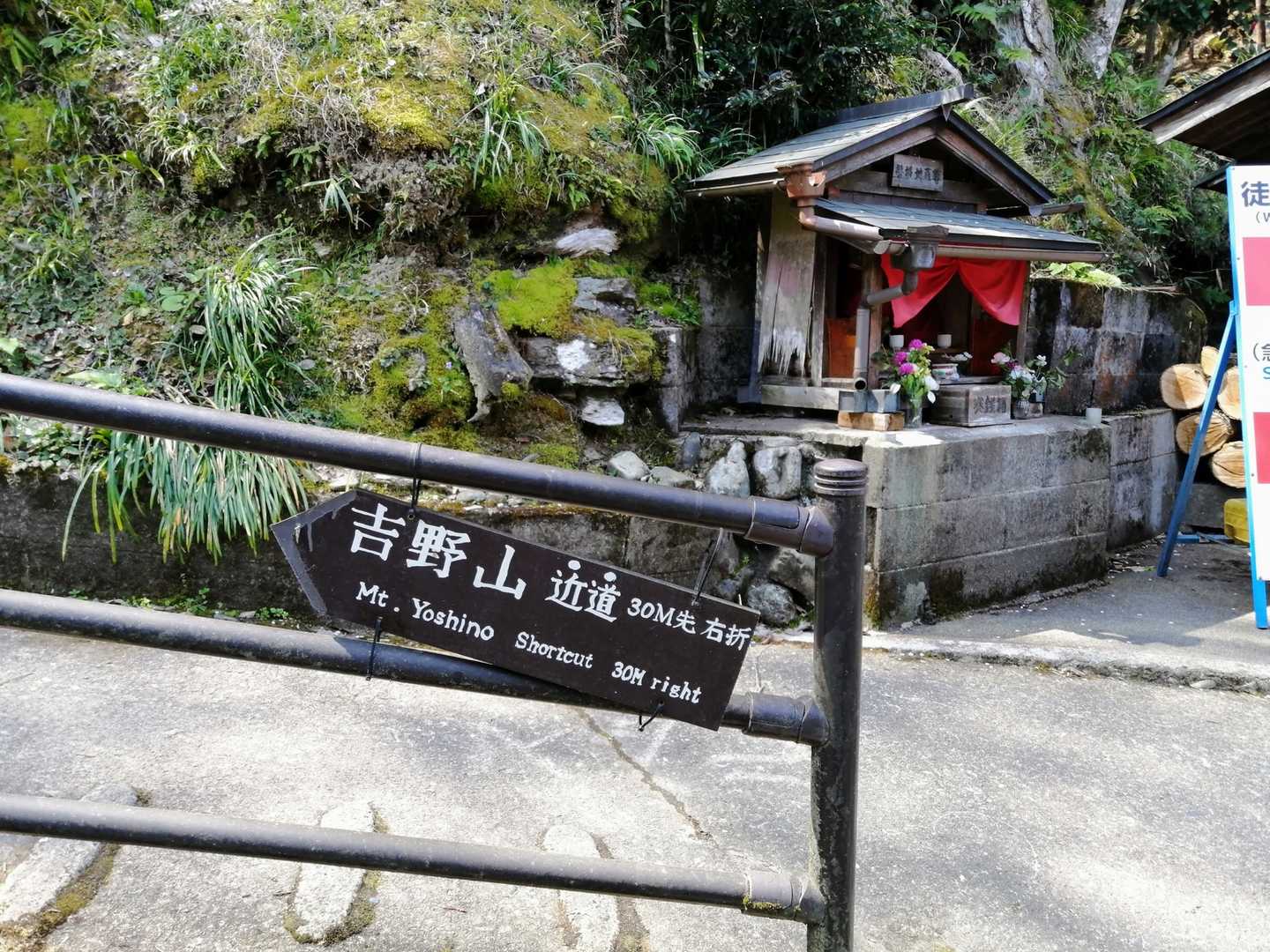 近道は登山道に近いです！
遠回りの方は車道の登り坂ですが、頭上にずっと桜があります🌸