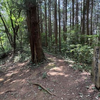 右➡️の＂だいだら坊の岩＂へ行きます
