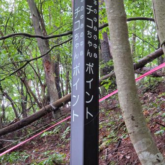 さらにゼロポイントから少し上がった場所に
「チコちゃんポイント」がありました。
2018年、NHKの人気バラエティ番組「チコちゃんに叱られる！」で、日本の中心を掲げる全国28自治体の経緯度の平均を算出したところ、なんとゼロポイントから僅か10m離れた北緯35度59分56秒・東経137度59分56秒の、この地点だったという😲