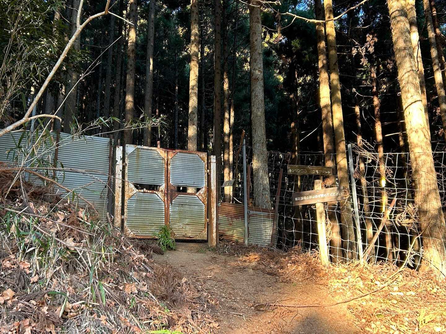 異世界への入口！
ココから登山道となる。