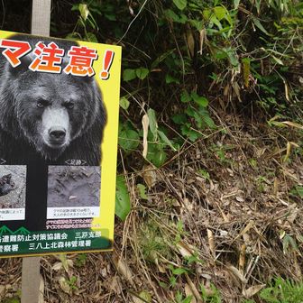 安全第一🐻