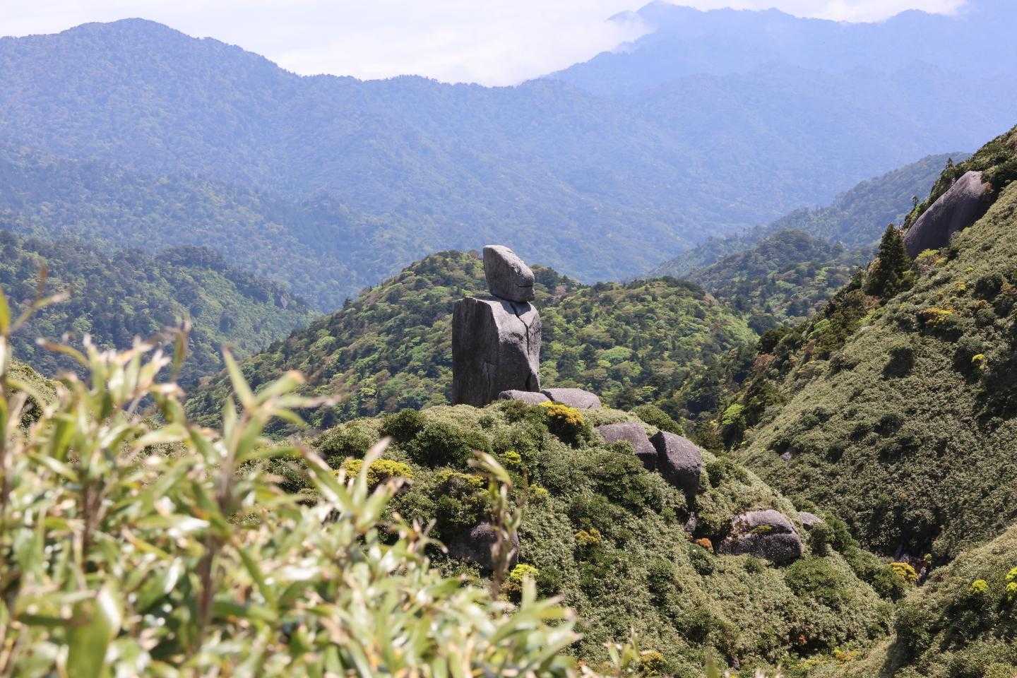 淀川入口-宮之浦岳 縦走コースの写真